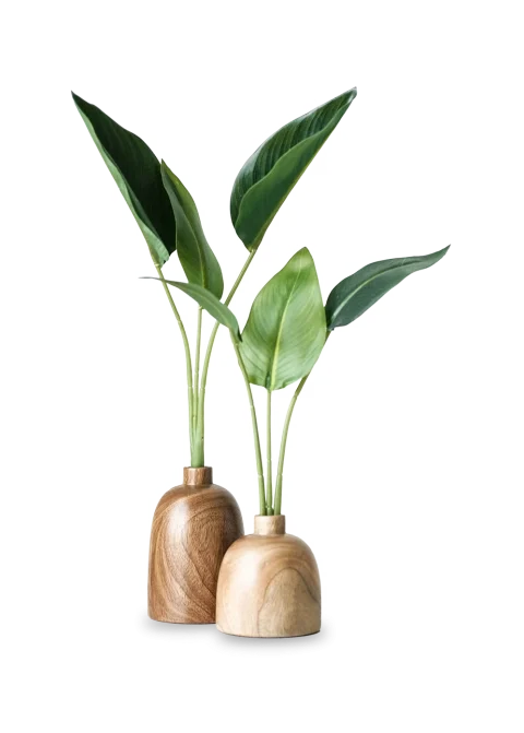 420 friendly boat tour